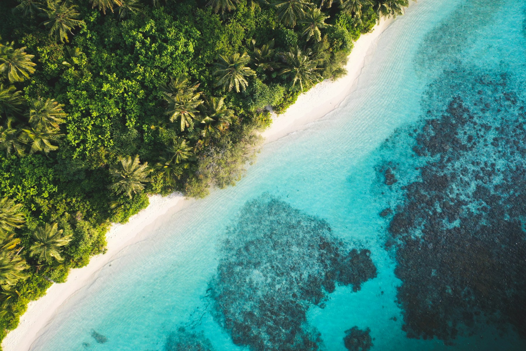 Tropical greenery meets Dhigurah’s turquoise lagoon