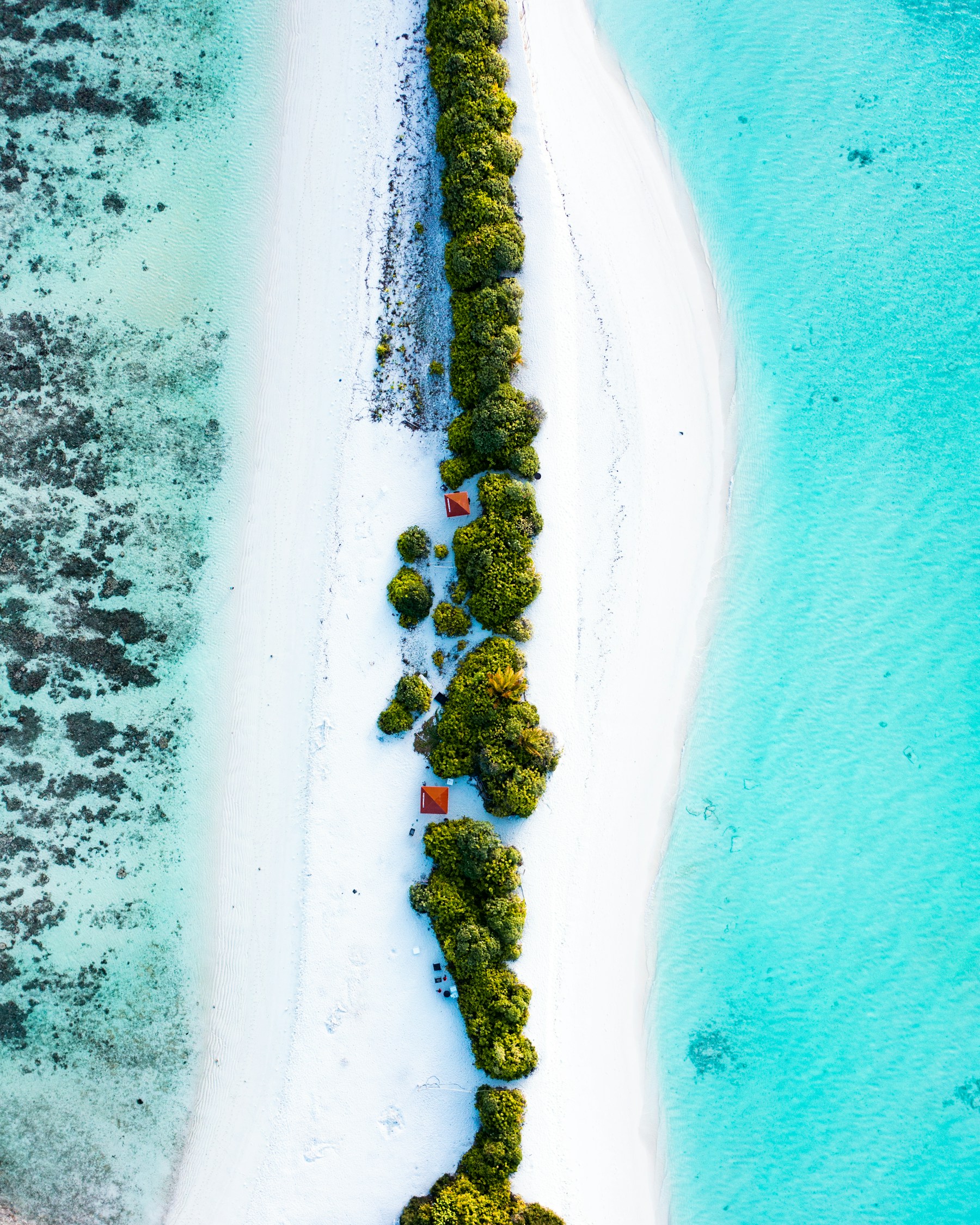 White sand between two shades of ocean