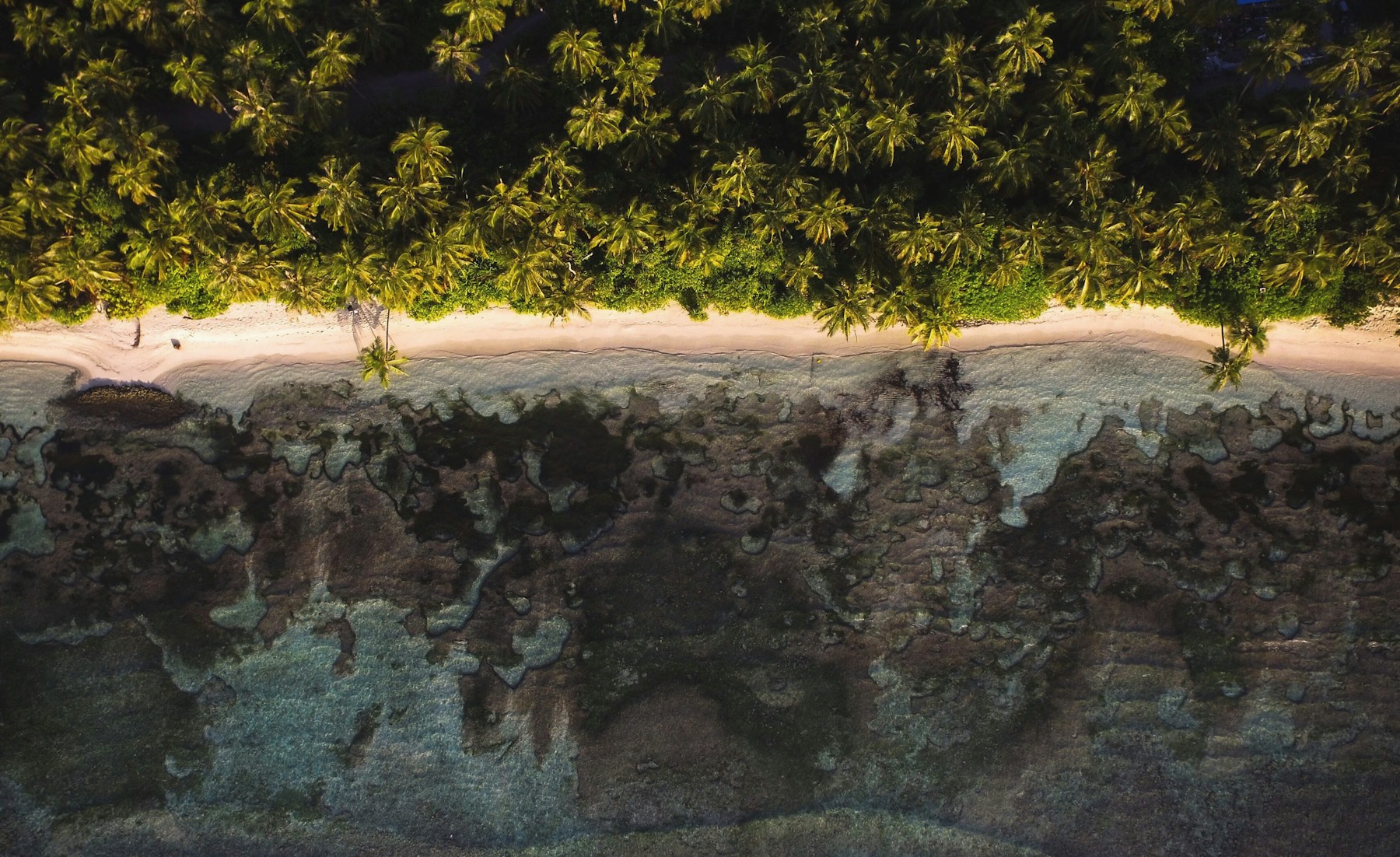 Sunrise along Dhigurah’s palm-lined shore